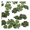Glitter Shamrock Craft Buttons, 50 Count – Green Clover Plastic Sewing Buttons with Shank Back for St. Patrick’s Day Crafts & DIY Projects